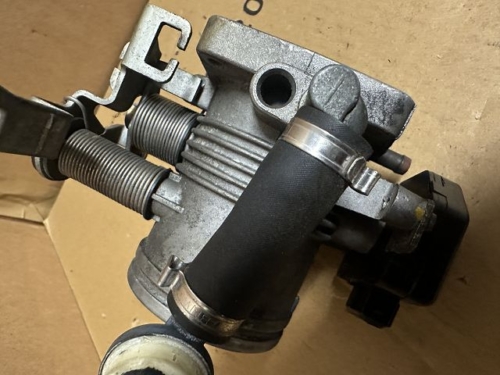 k-IMG_6169 k-IMG_6169